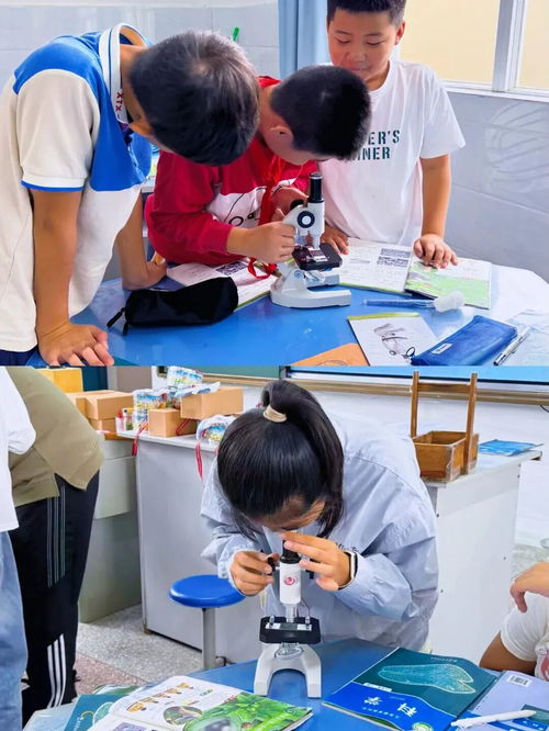 建水县 以“五育融合”促“双减”提质，绘就基础教育发展新画卷